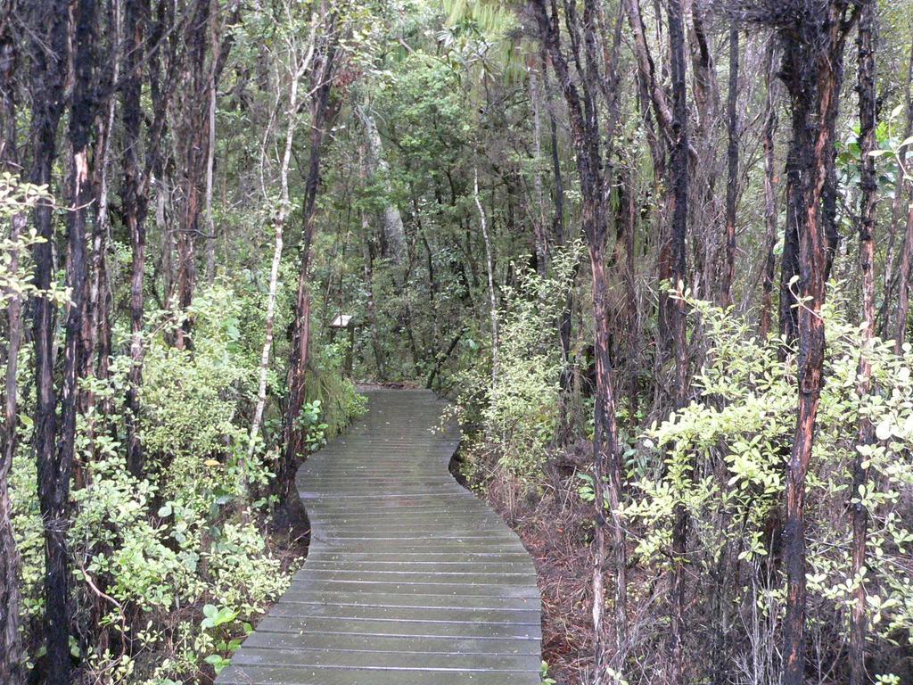 Вілла Kepplestone By The Sea - The Catlins New Haven Екстер'єр фото